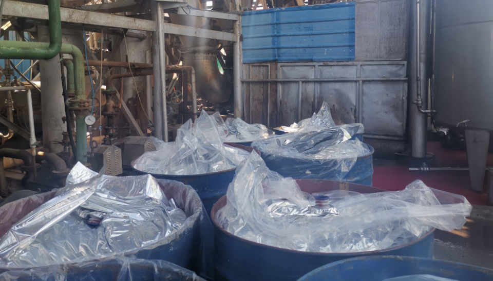 Red Tomato Foods Group Limited
