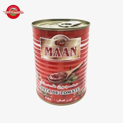 800g ダブル コンセント 缶詰 トマト パスト ブリックス22-24% 品牌可