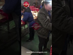 トマトパスタ缶詰 品質管理