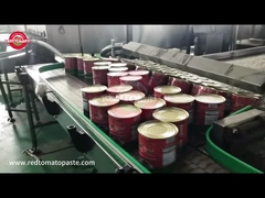 マカオ　トマトペースト（缶詰）